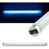 3 Lâmpada Tubular T8 Bl Uv-a 20w/60cm - Caça Inseto/ Carimbo