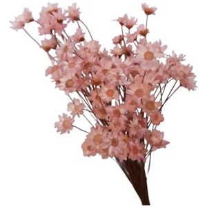 Sempre Viva Flores Desidratada 500 Un Rosa Claro Decoração