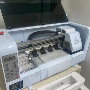 Impressora Vuze Dtf V30 Com 30cm De Boca E 2 Cabeças Xp600 (Usado)