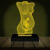 Luminária Led 3d | Obstetra Médico Grávida Abajur Presente