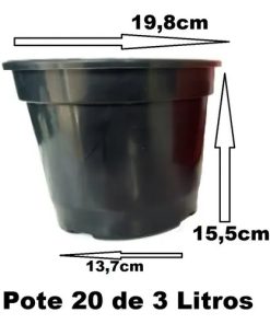 10 Vasos Pote 20 3 Litros Mudas Plantas E Rosa Do Deserto