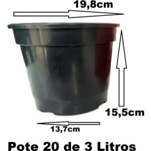 10 Vasos Pote 20 3 Litros Mudas Plantas E Rosa Do Deserto