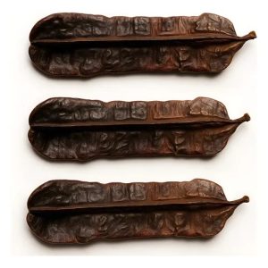 3 Fava De Aridan Africana Original Para Rituais Religiosos