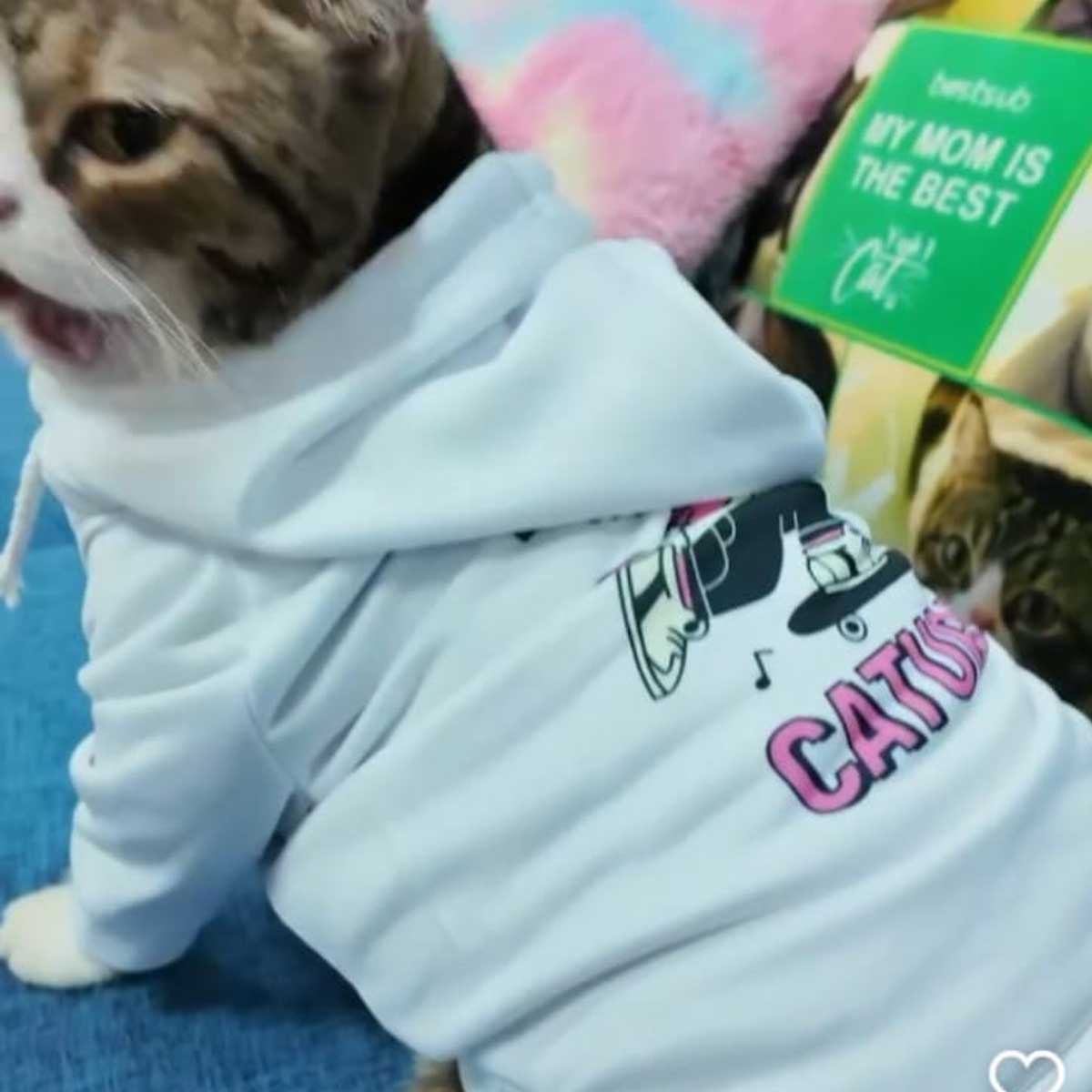 Roupa Pet Roupinha cachorro gato cao dog cat