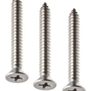 Parafuso Inox 4,2x50 4,2 X 50 42x50 Cabeça Chata 200